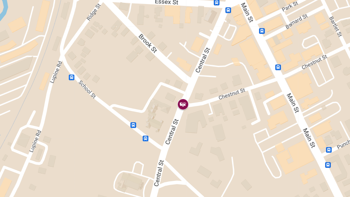 Accident with Injuries at Chestnut St & Central St