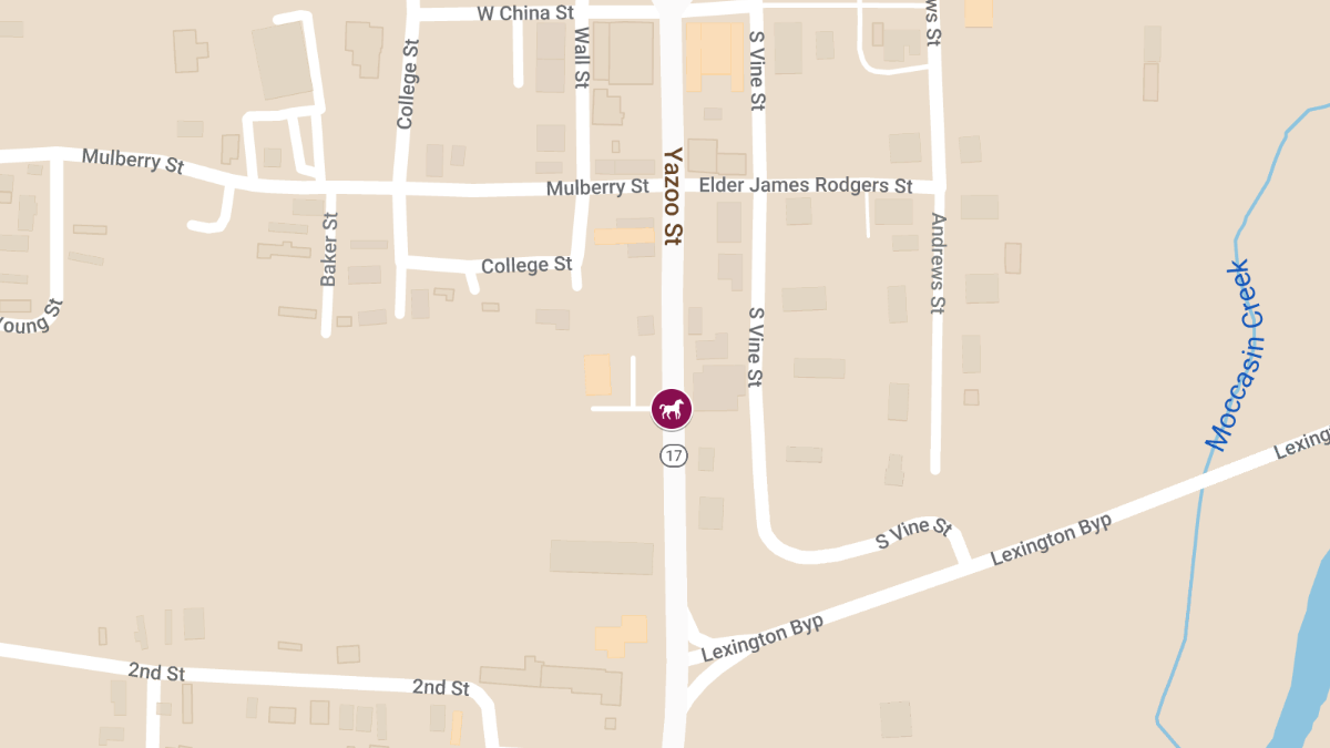 Fatal Accident Involving Vehicle and Horses on Highway 17