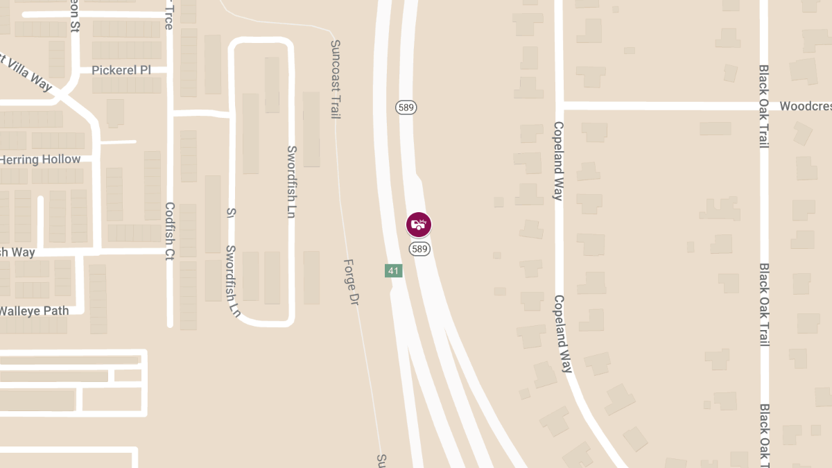 Fatal Head-On Collision on State Route 589
