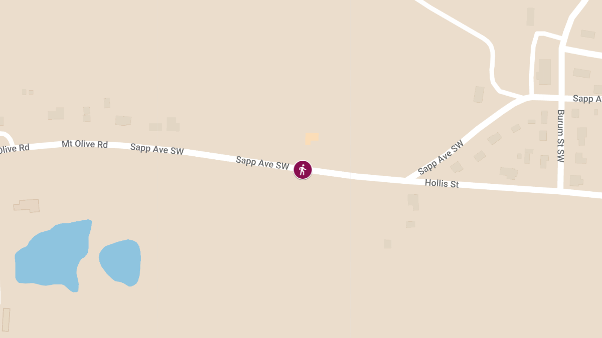 Fatal Hit-and-Run Incident on Mt. Olive Rd