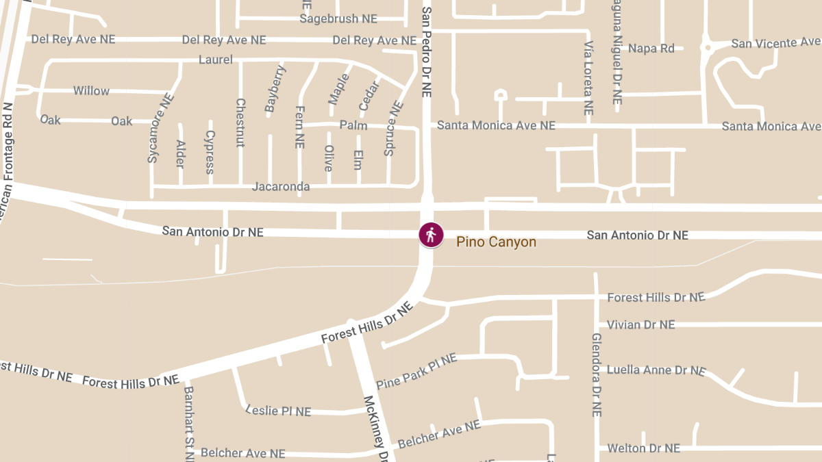 Fatal Pedestrian Accident at San Pedro Dr NE and San Antonio Dr NE