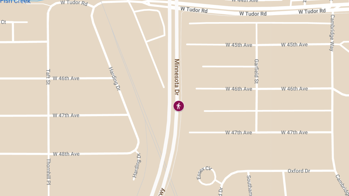 Fatal Pedestrian Collision on Minnesota Dr