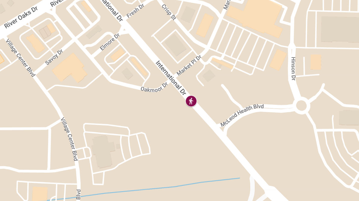Fatal Pedestrian Crash on International Dr Near Market Pl Dr
