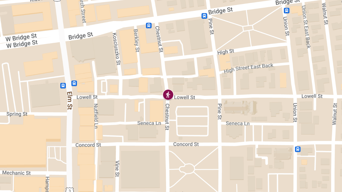 Hit-and-Run with Injuries at Chestnut St & Lowell St