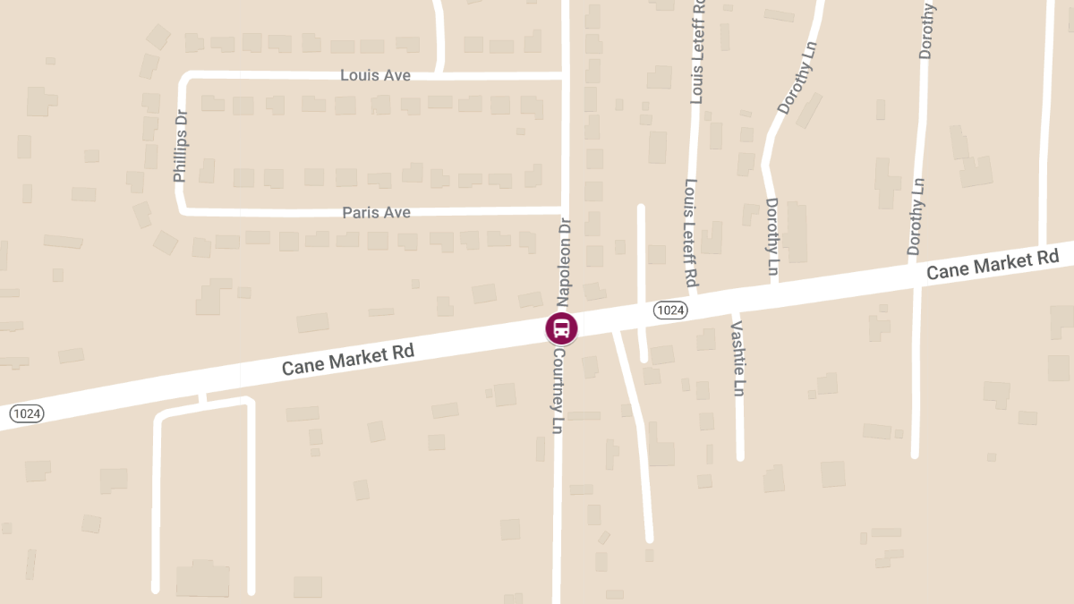 Nine Students Injured in School Bus Crash on Cane Market Rd Near Napoleon Dr