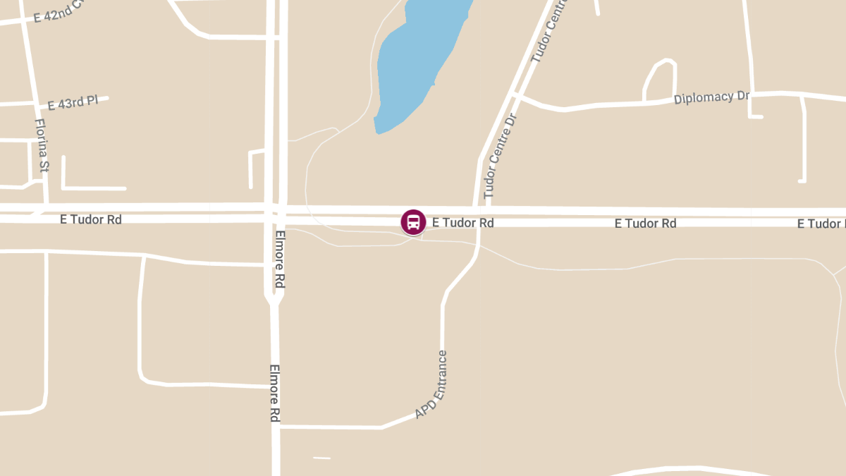 One Killed in Multi-Vehicle Accident Involving School Bus on E Tudor Rd