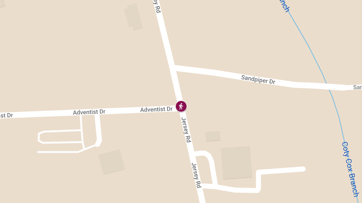Pedestrian Accident at 1327 Jersey Rd