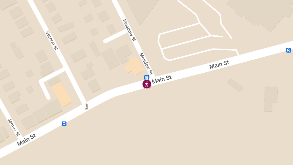 Pedestrian Accident at Main St