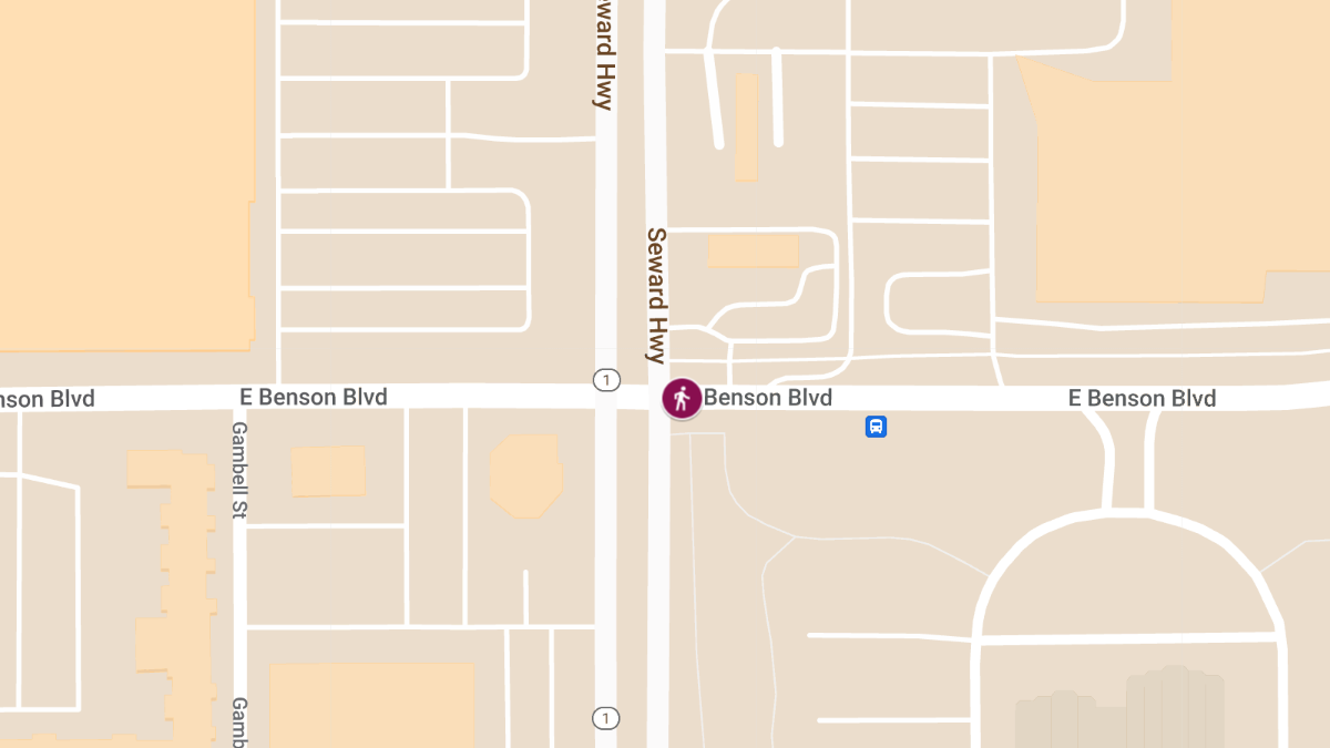 Pedestrian Accident on Benson Blvd
