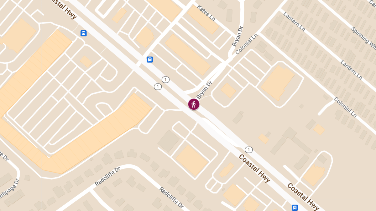 Pedestrian Crash at Coastal Hwy & Bryan Dr Results in Injuries
