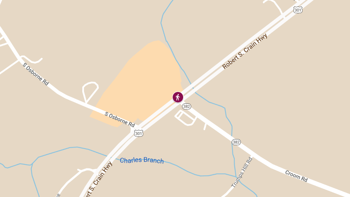 Pedestrian Fatality on US-301 at Croom Rd
