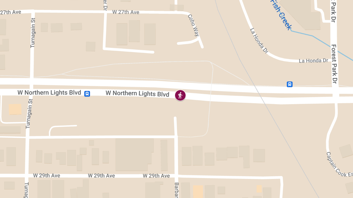 Pedestrian Fatality on West Northern Lights Blvd