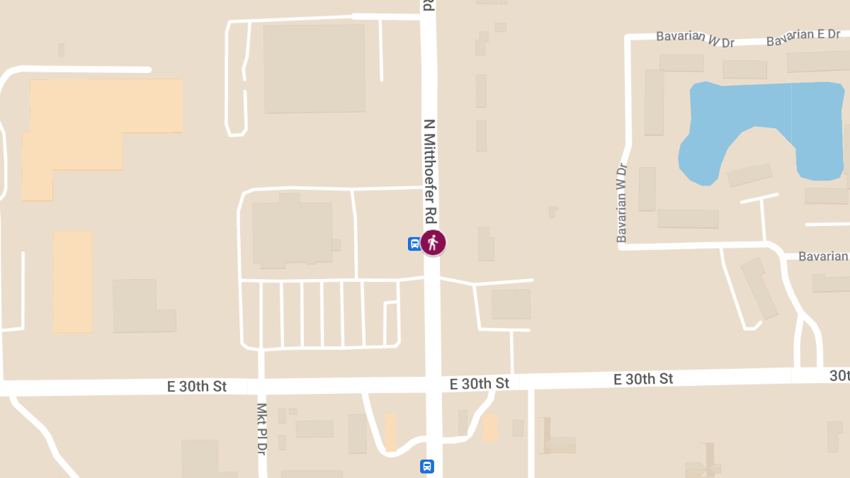 Pedestrian Incident at 2936 N Mitthoefer Rd