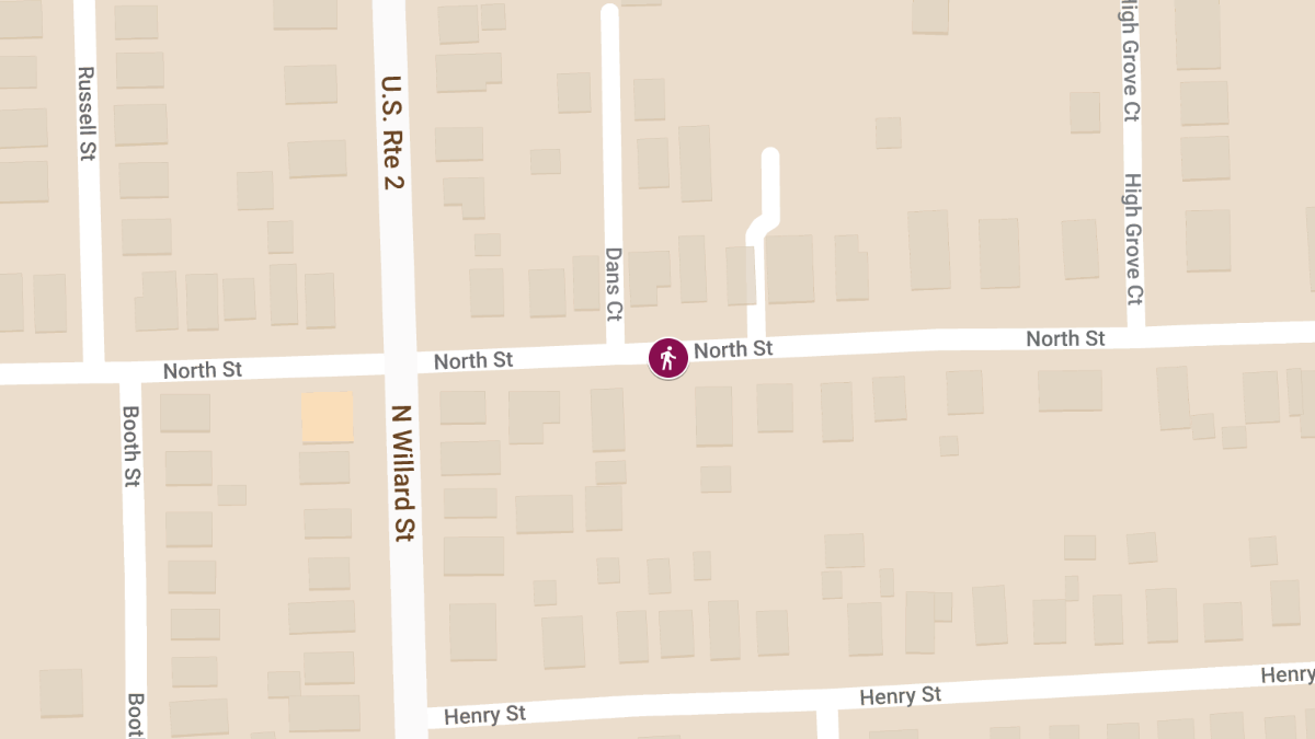 Pedestrian Injured in Crash After Driver Swerves to Avoid Dogs on North St