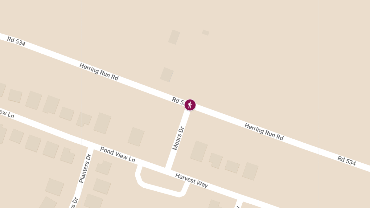 Pedestrian Injury Crash at Herring Run Rd and Mears Dr