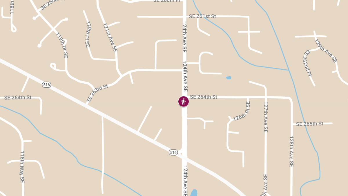 Pedestrian Killed in Accident on 124th Ave SE Near Kent Kangley Rd