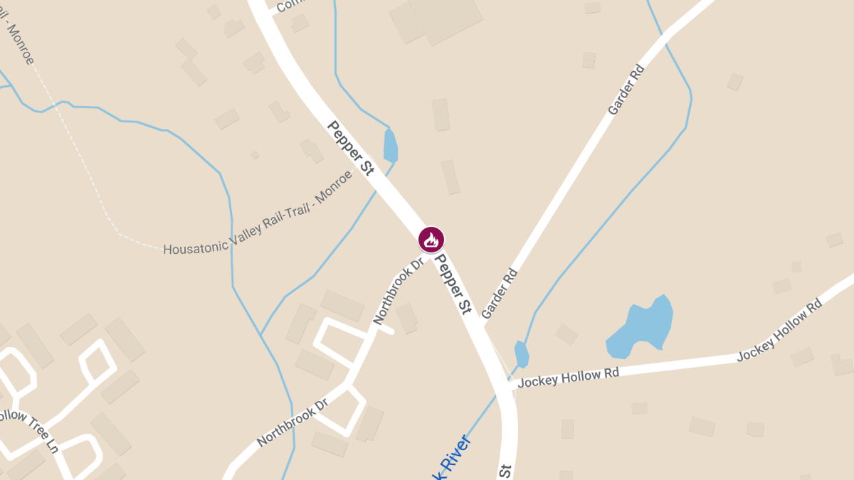 Resident Injured, Cat Dies in Condo Fire on Rosewood Cir