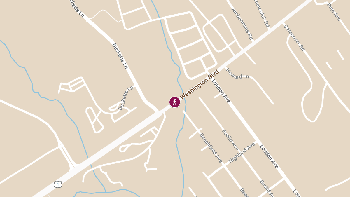 Woman Killed in Hit-and-Run on Washington Blvd