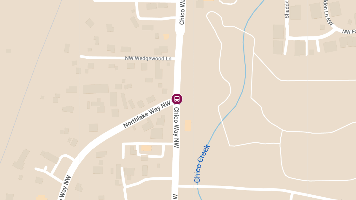 Young Boy Hospitalized After Bus Crash on Chico Way NW