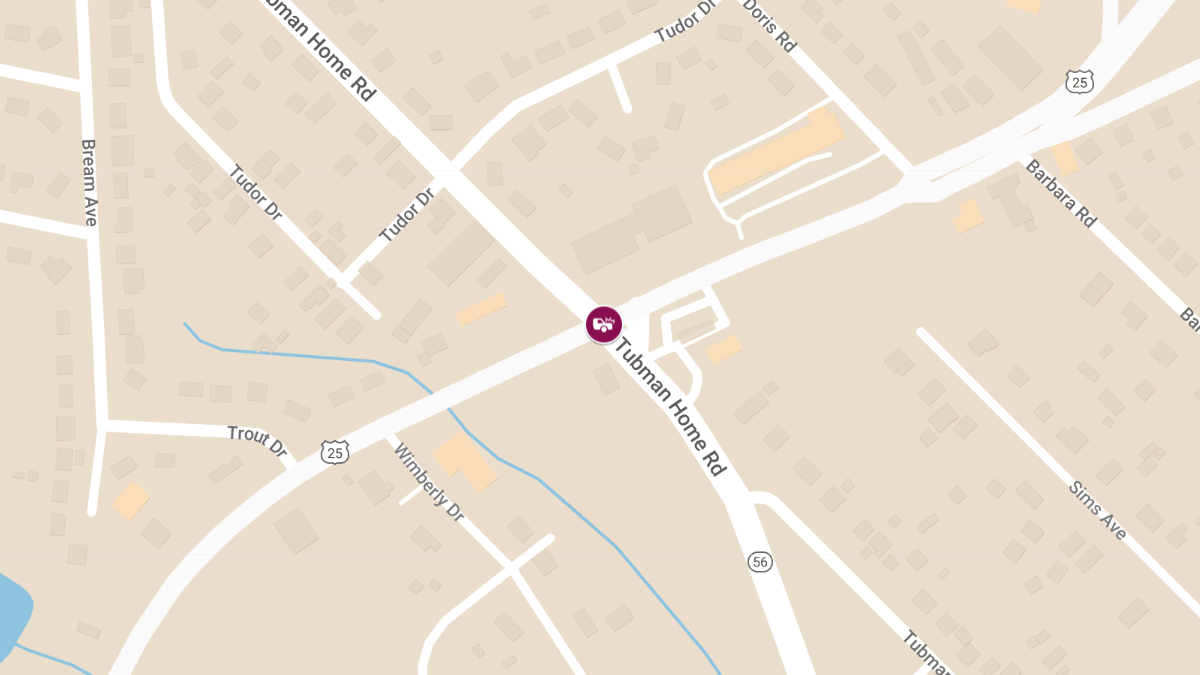 Accident with Injury at Tubman Home Rd and Peach Orchard Rd