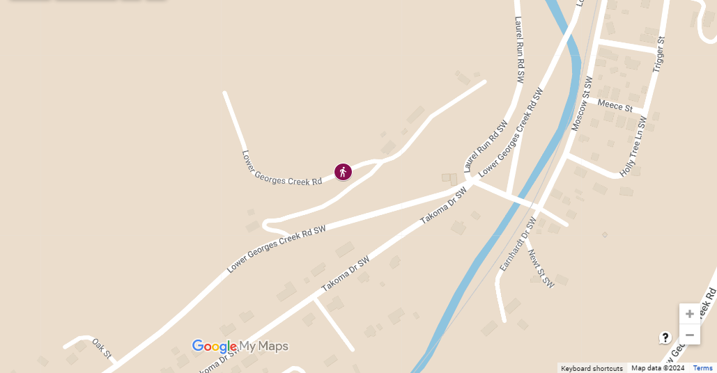 Auto Accident with Pedestrian Struck on Lower Georges Creek Rd
