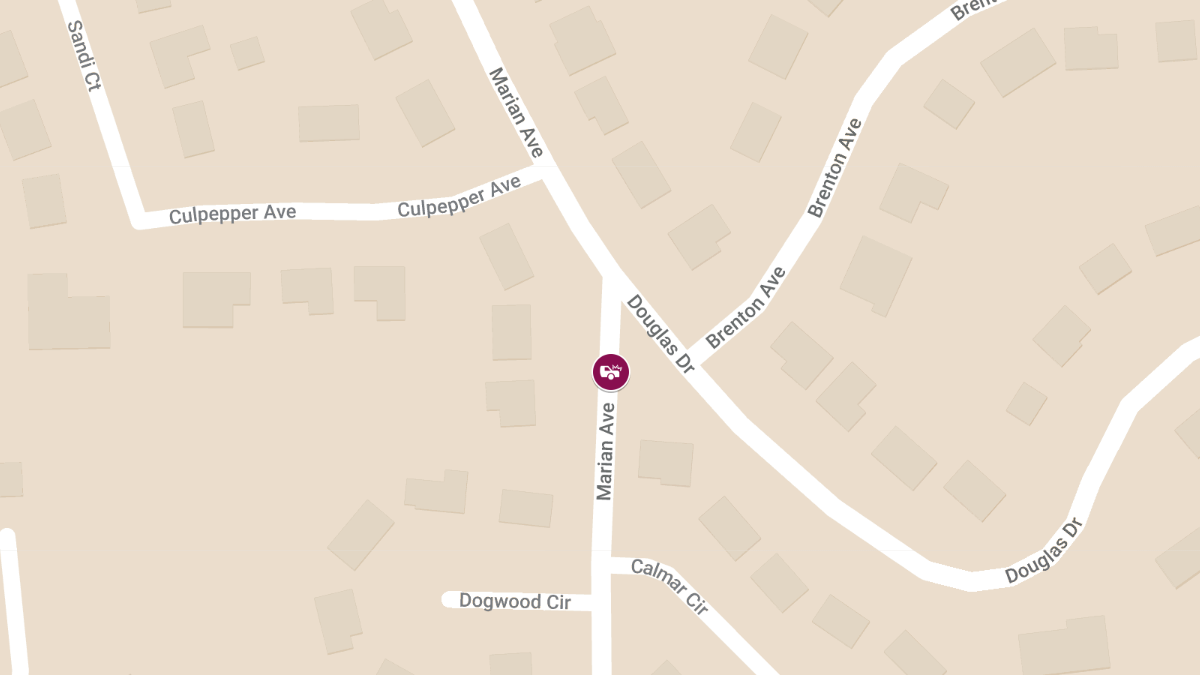 Auto Crash with Injury at 204 Marian Ave