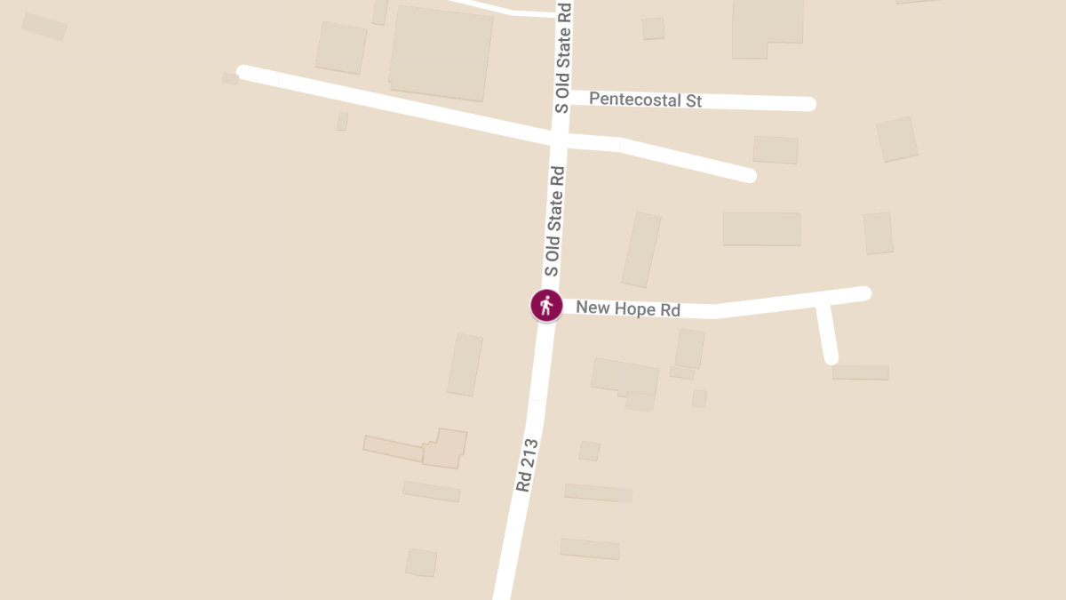 Crash Involving Pedestrian and Structure on New Hope Rd Causes Injuries