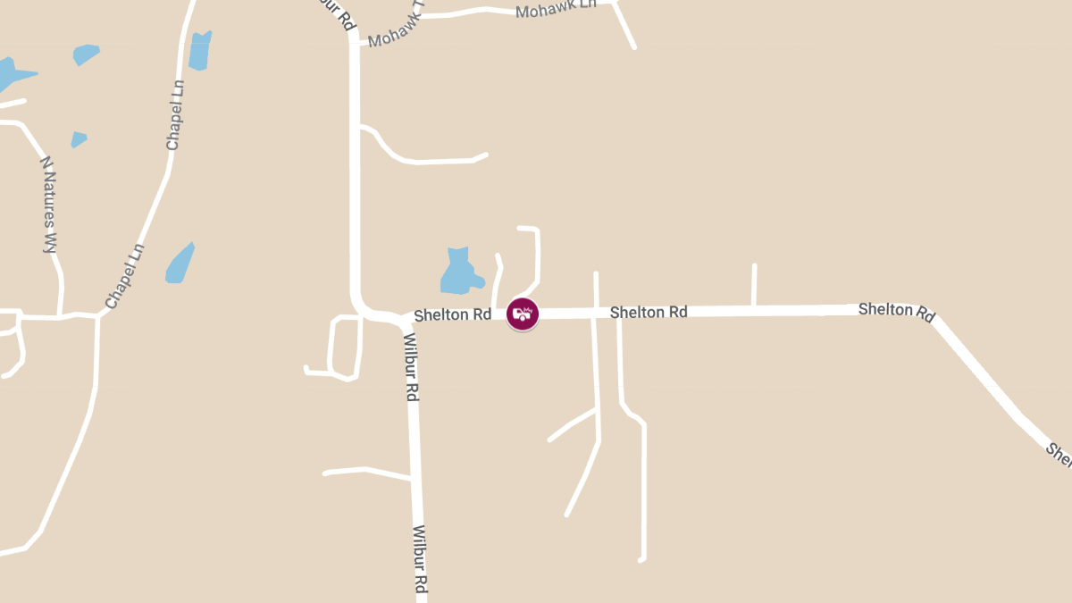 Crash with Injury at 1455 Shelton Rd