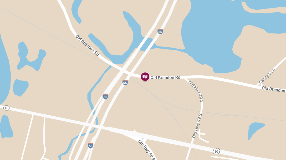 Deadly Two-Vehicle Crash on Old Brandon Rd near I-55 Overpass