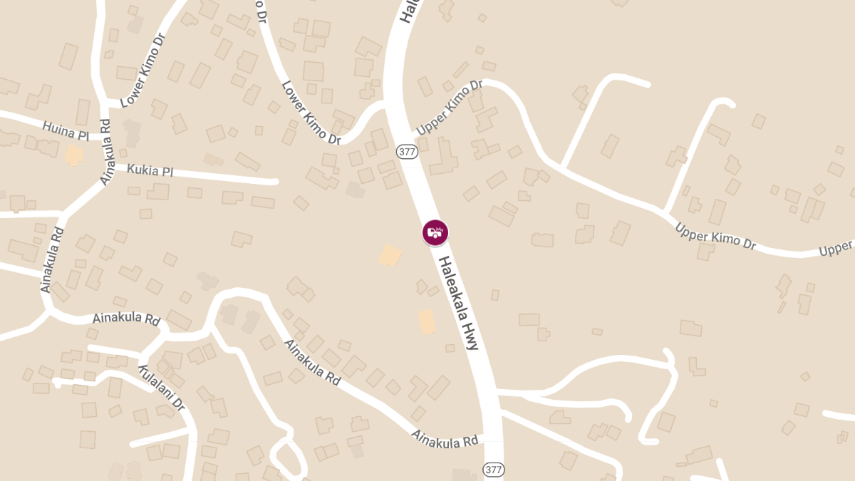 Fatal Collision on Haleakala Highway