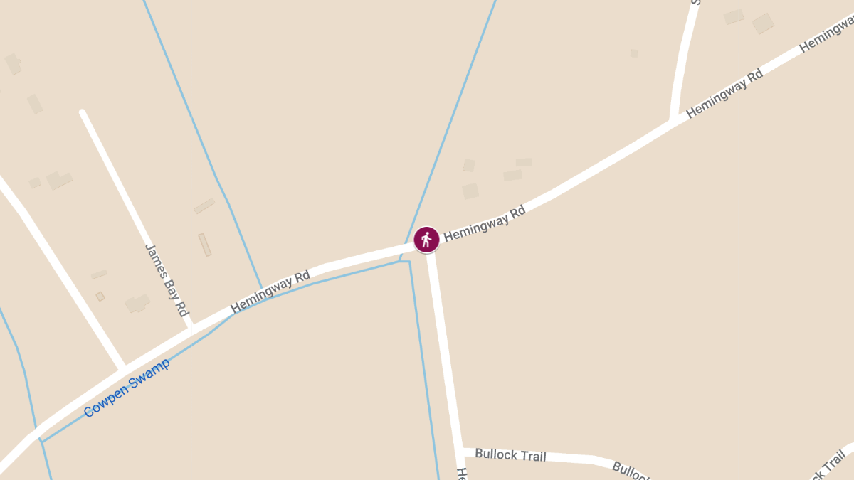 Fatal Pedestrian Accident on Hemingway Rd