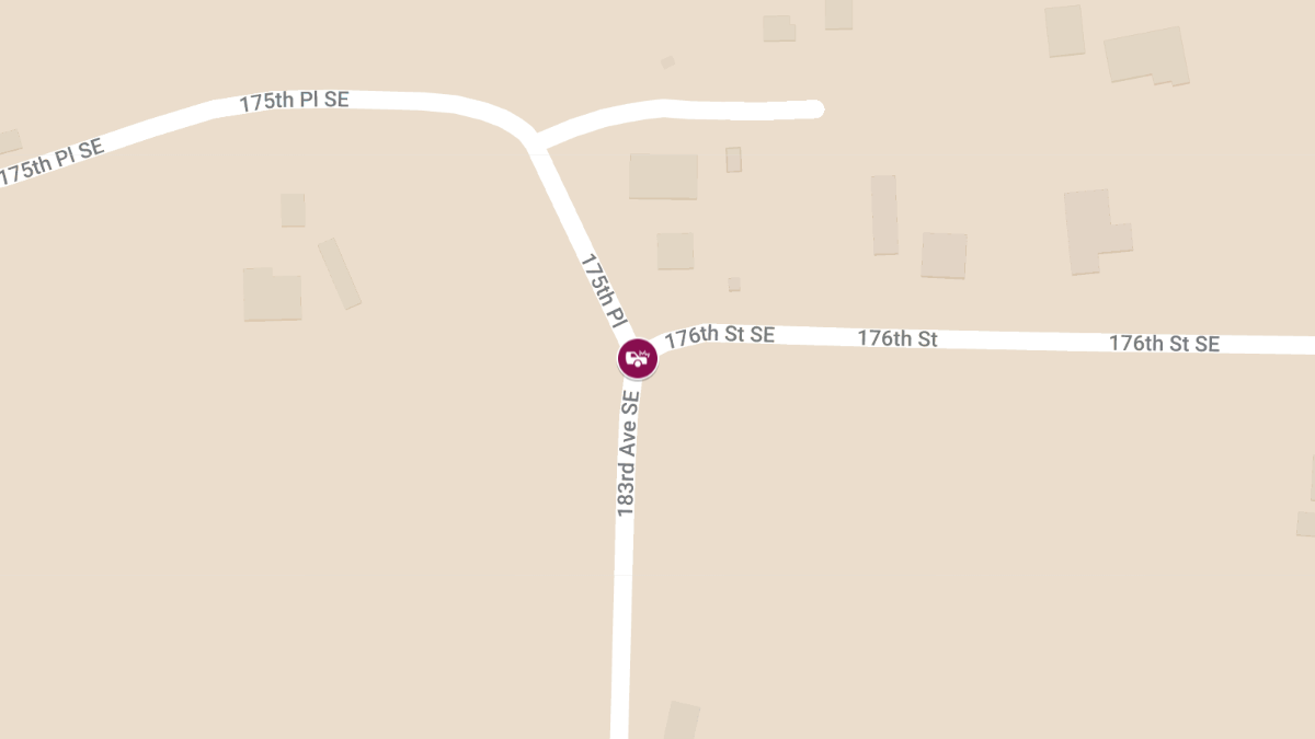Head-On Collision at Sargent Rd and 176th