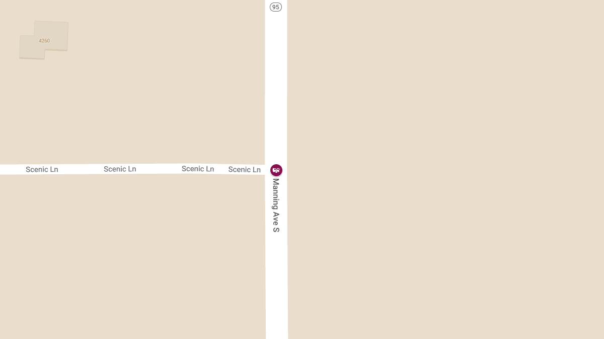 Head-On Collision on Highway 95 at Scenic Lane Causes Injuries