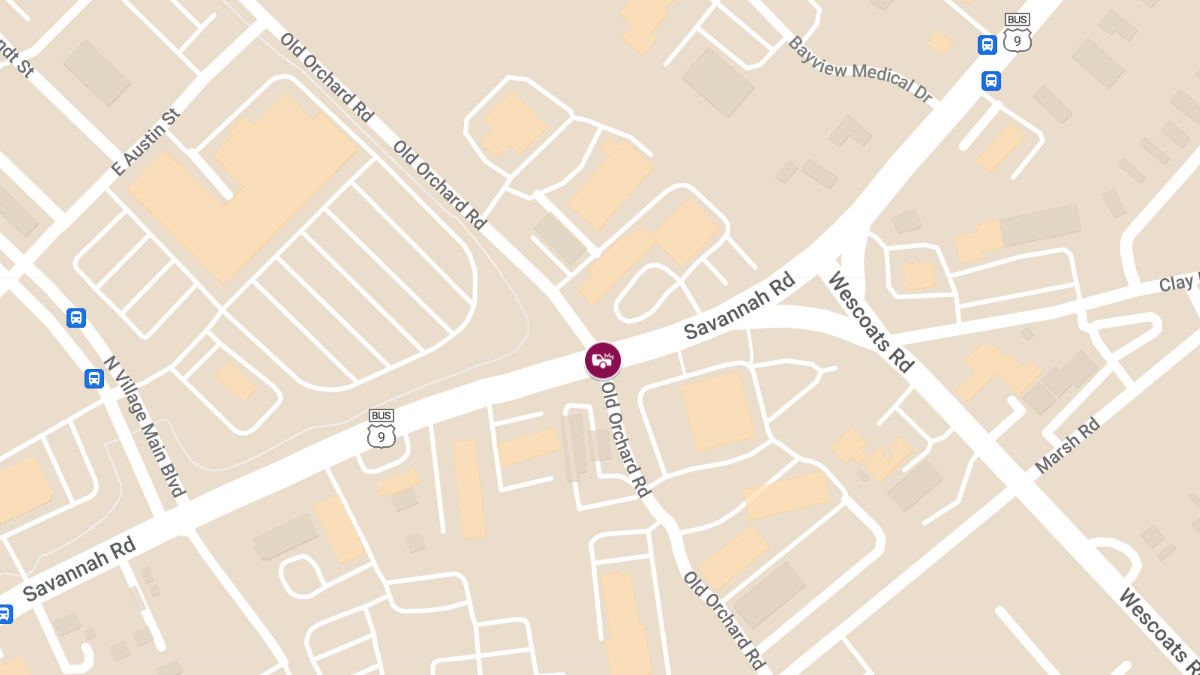 Head-On Crash at Savannah Rd and Old Orchard Rd