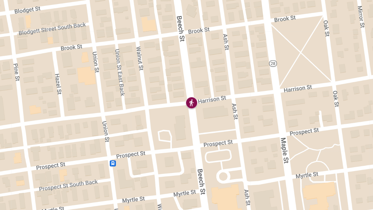Hit-and-Run Accident at Harrison St / Beech St causes Injuries
