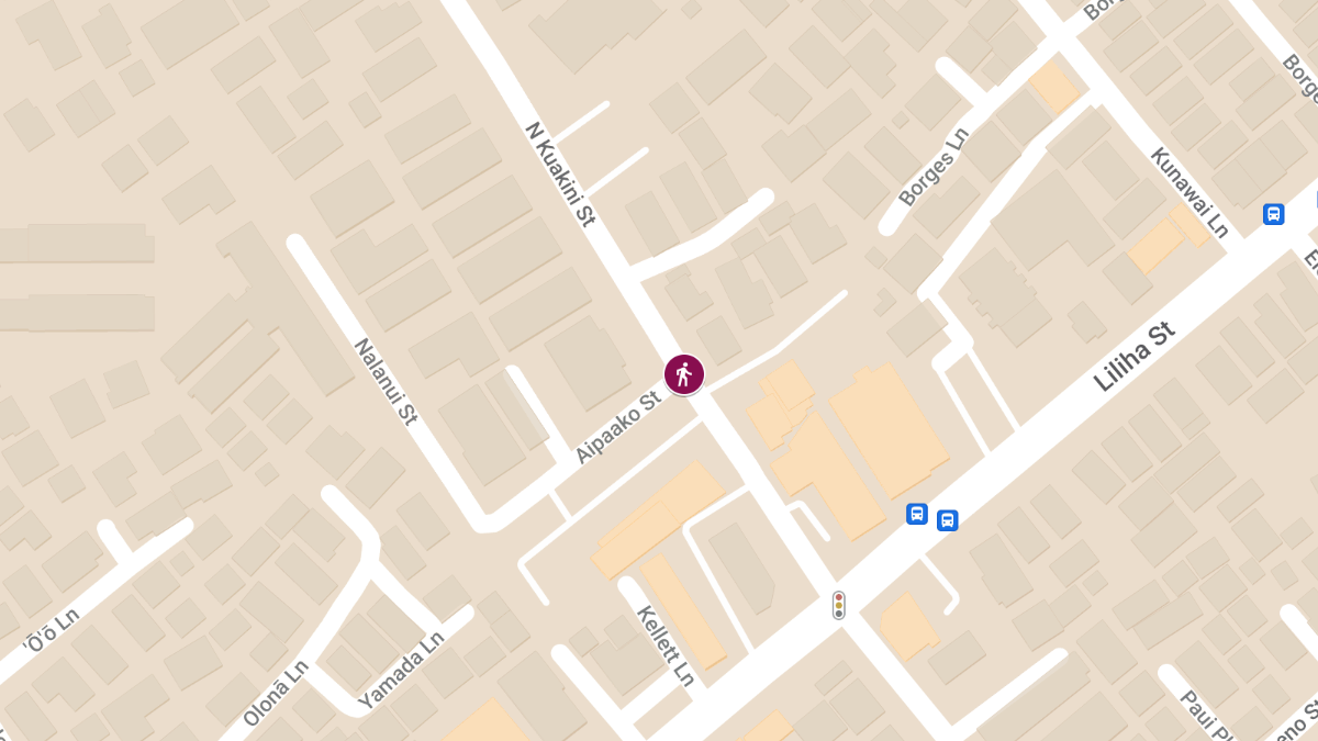 Hit-and-Run Crash at North Kuakini St