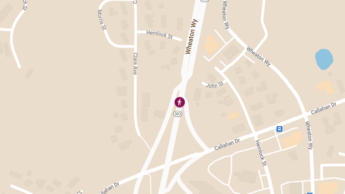 Hit-and-Run Crash on State Route 303