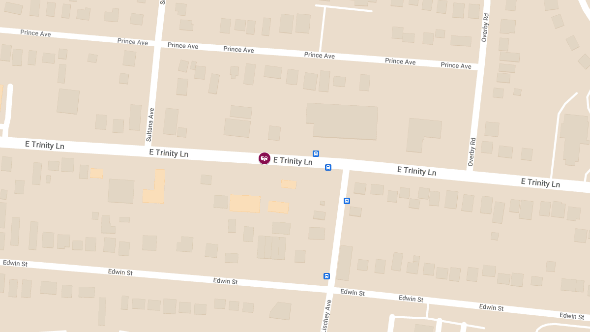 Injuries Reported in Collision at 336 E Trinity Ln