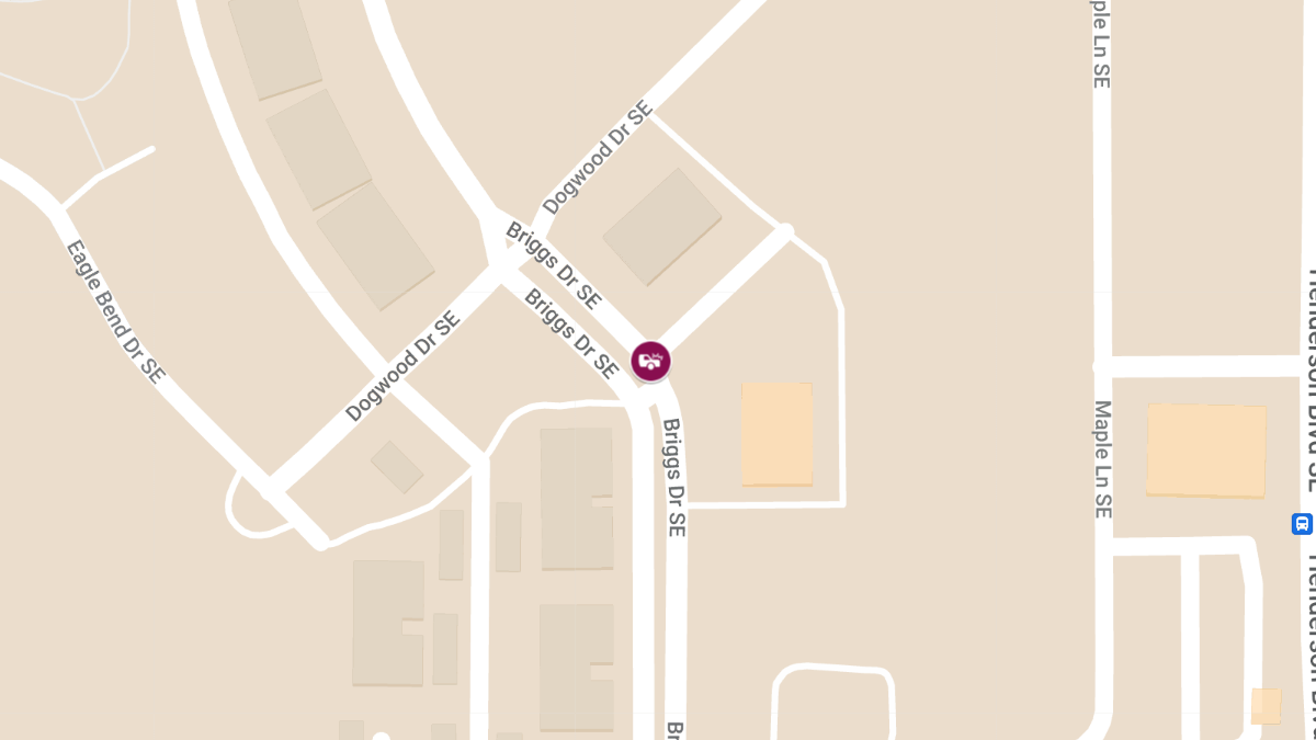 Injury Accident at 4600 Block of Briggs Dr SE