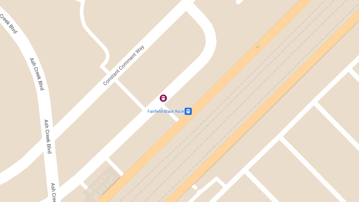 Man Hit by Train at Black Rock Train Station