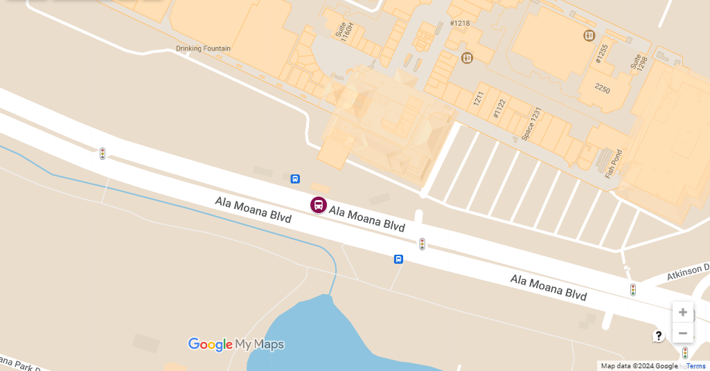 Moped Accident Involving City Bus on Ala Moana Blvd
