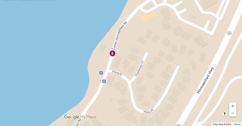 Moped vs. Pedestrian Incident at Pohaku Beach Park