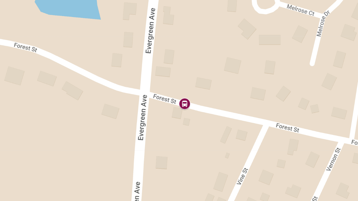 Motor Vehicle Accident Involving School Bus on Forest St