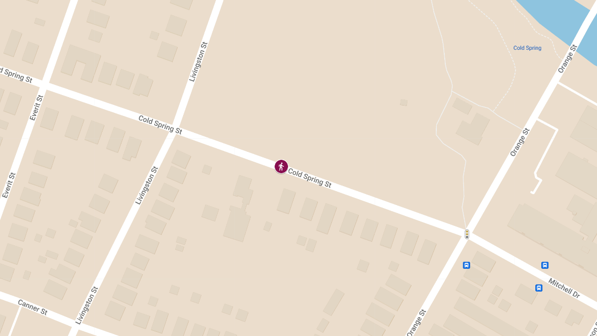 Multiple Pedestrians Struck on Cold Spring St