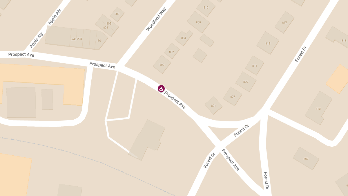 Occupant Injured in Row Home Fire on Prospect Ave