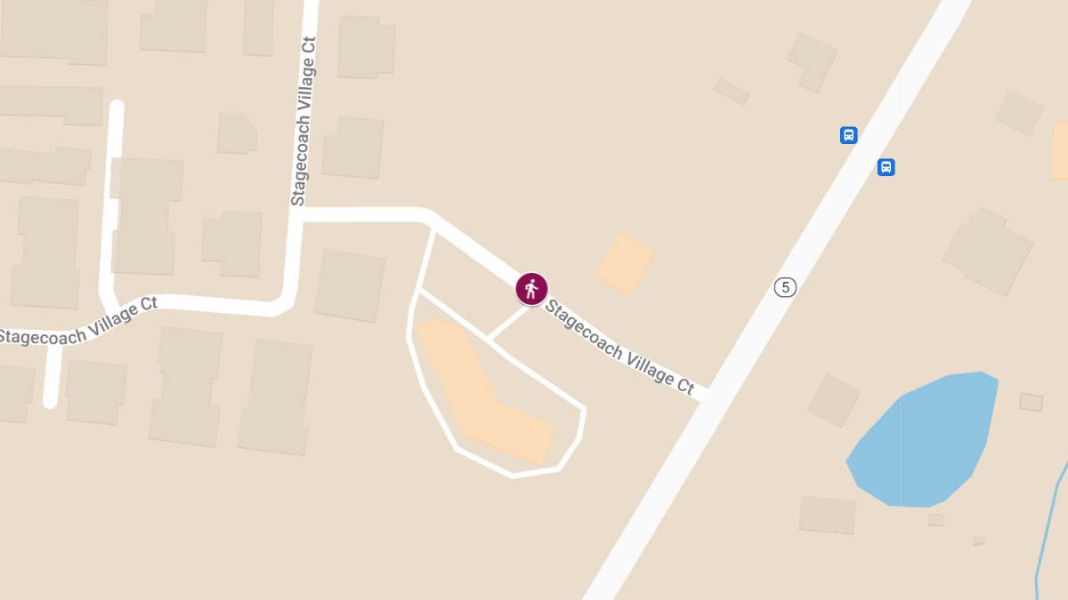 Pedestrian Accident at 9222 Stagecoach Rd