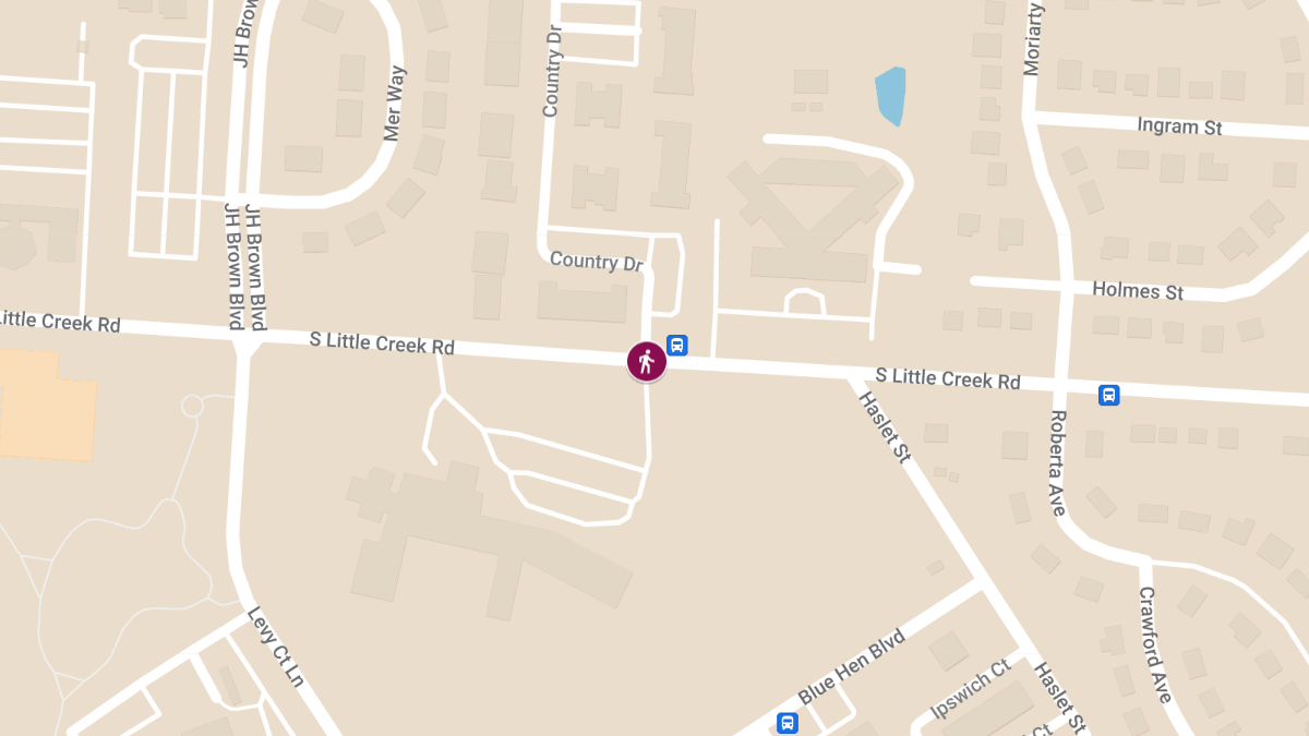 Pedestrian Accident at Country Dr and S Little Creek Rd