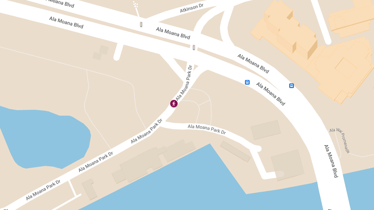 Pedestrian Accident on Ala Moana Beach Park Drive