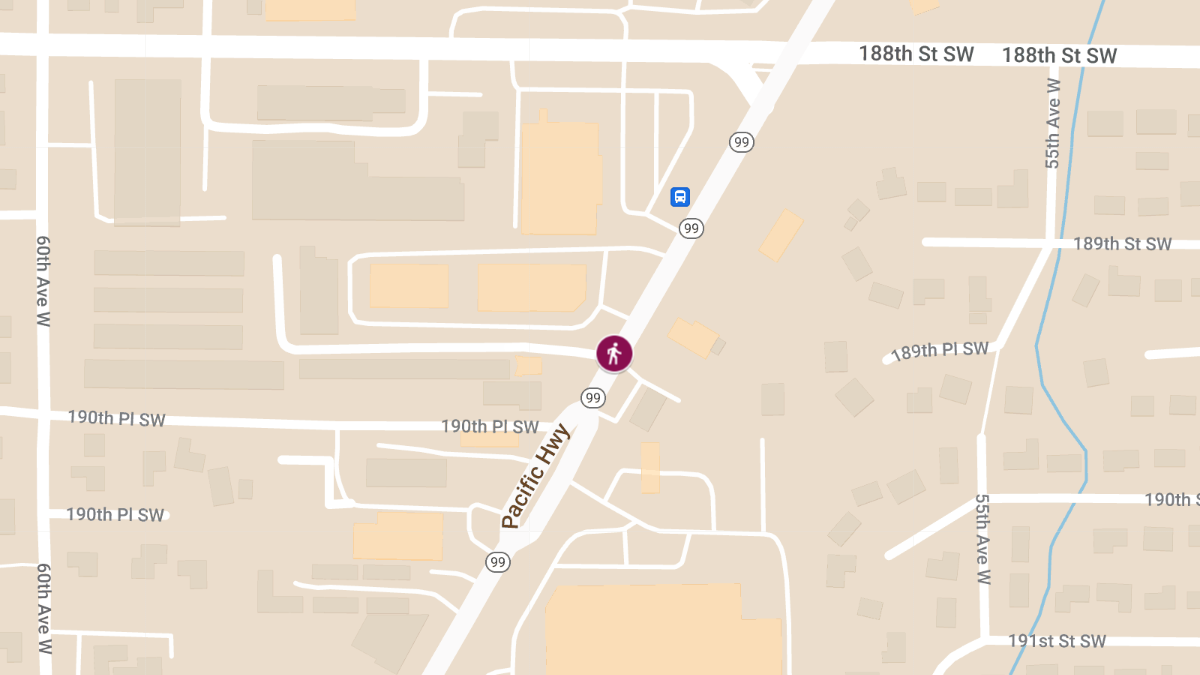 Pedestrian Accident on Highway 99