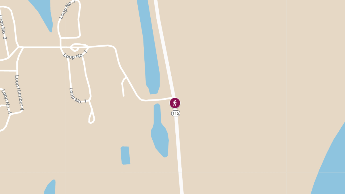 Pedestrian Accident on Hwy 115